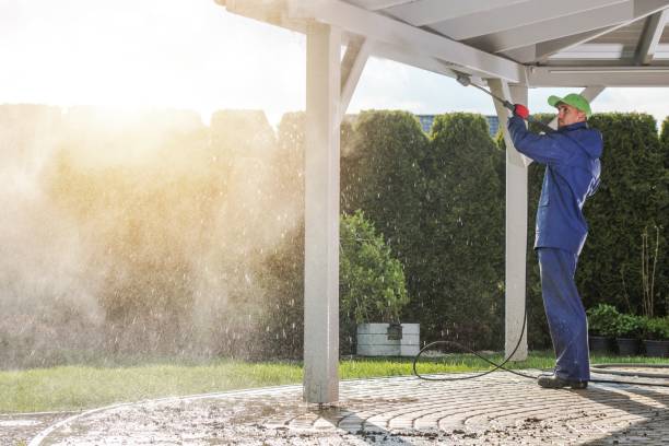 Best Patio and Deck Pressure Washing  in USA